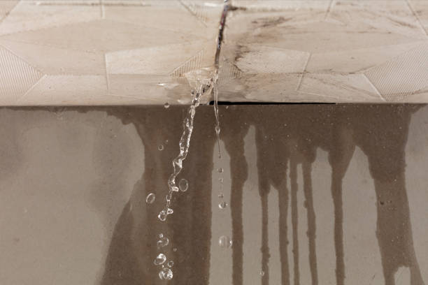 Professional Flood Damage Cleanup technician working in Chaseburg, WI